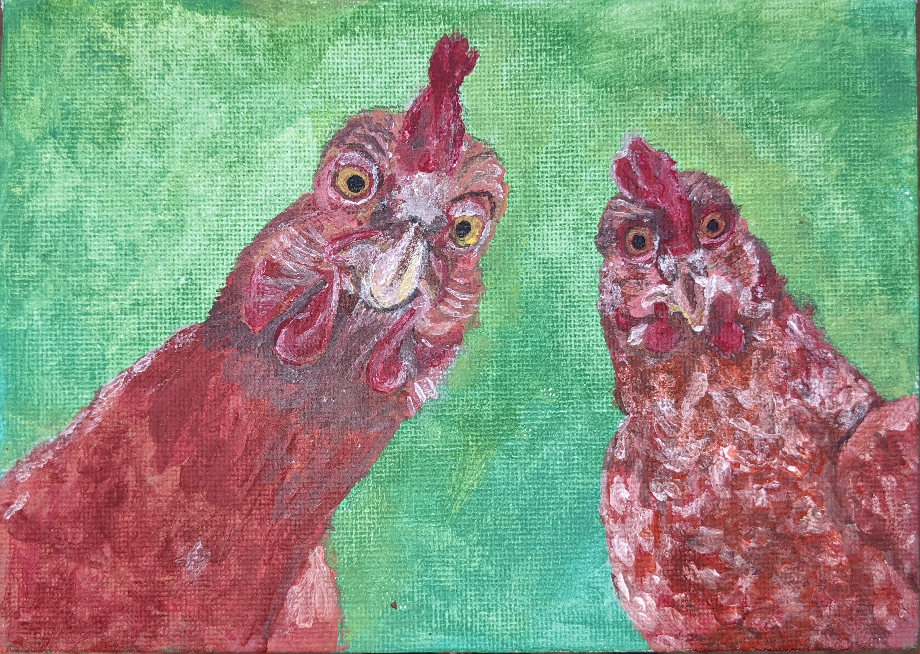 chickens canvas